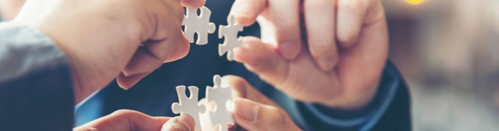 Agiles Projektmanagement - CLEVIS