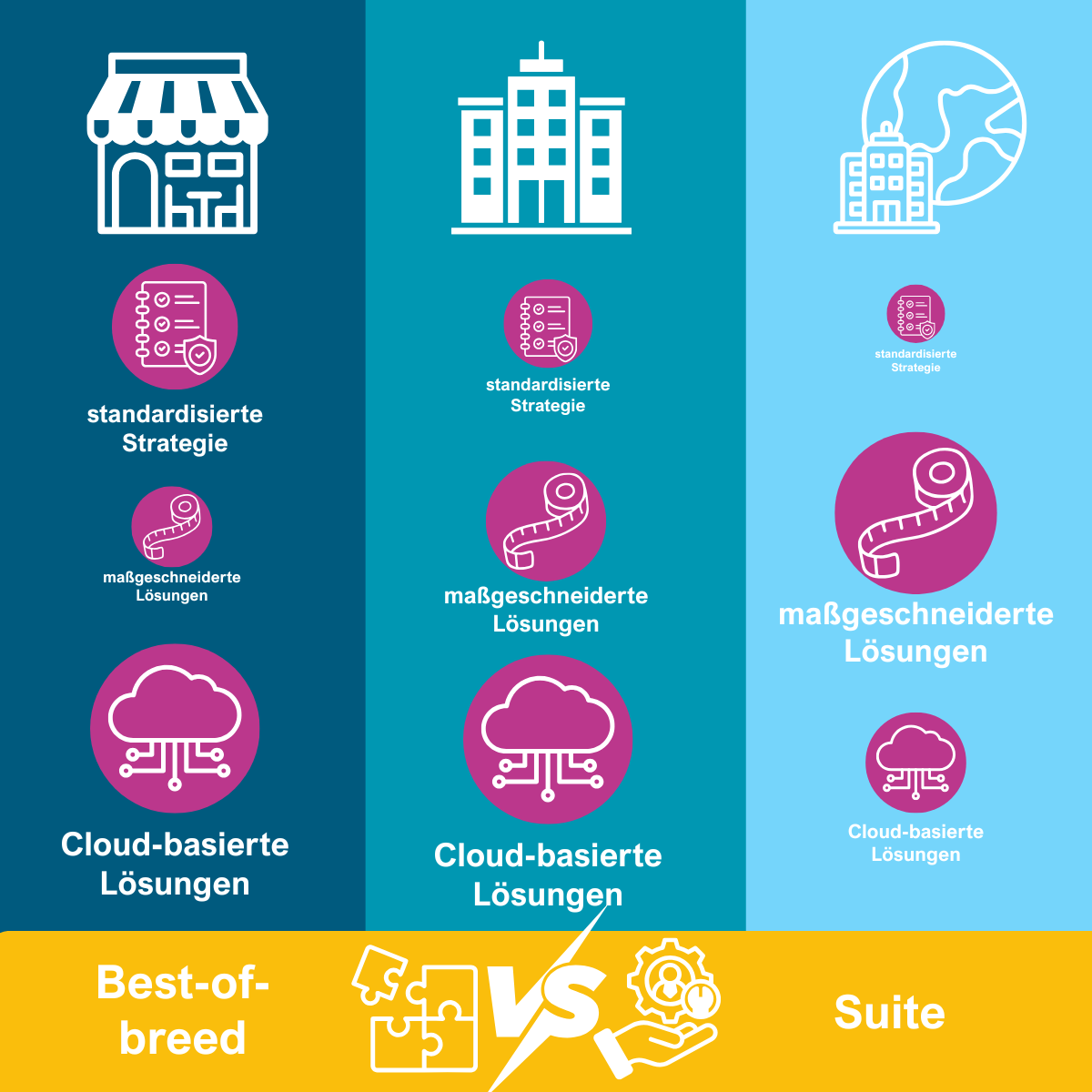 Arten von HR IT Strategien Arten von HR IT Strategien
