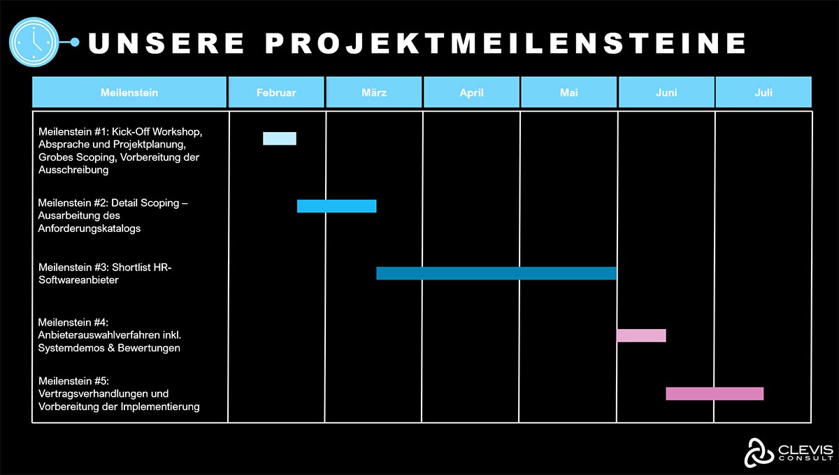 Success Story - HR-Softwareauswahl im Gesundheitswesen - Unsere Projektmeilsteine